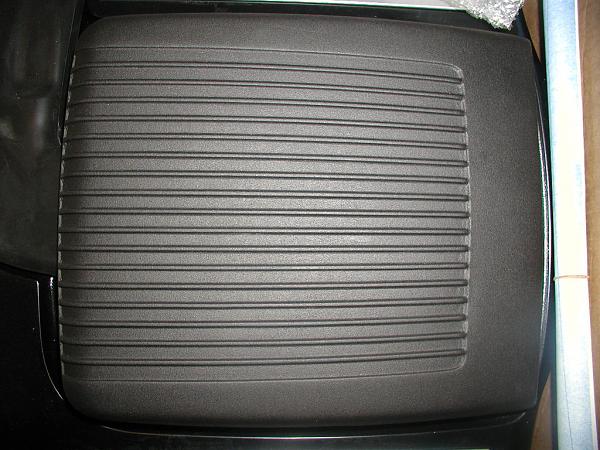 Ponies on The Run!-scoop-close-1.jpg