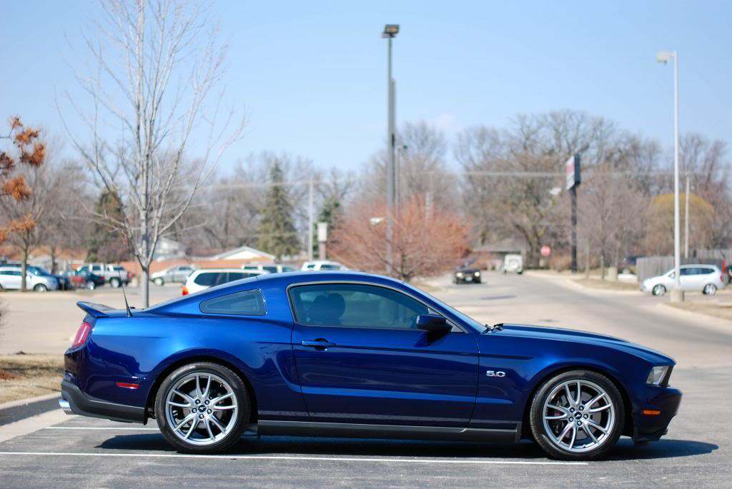 Name:  DSC_0274.jpg
Views: 96
Size:  82.0 KB