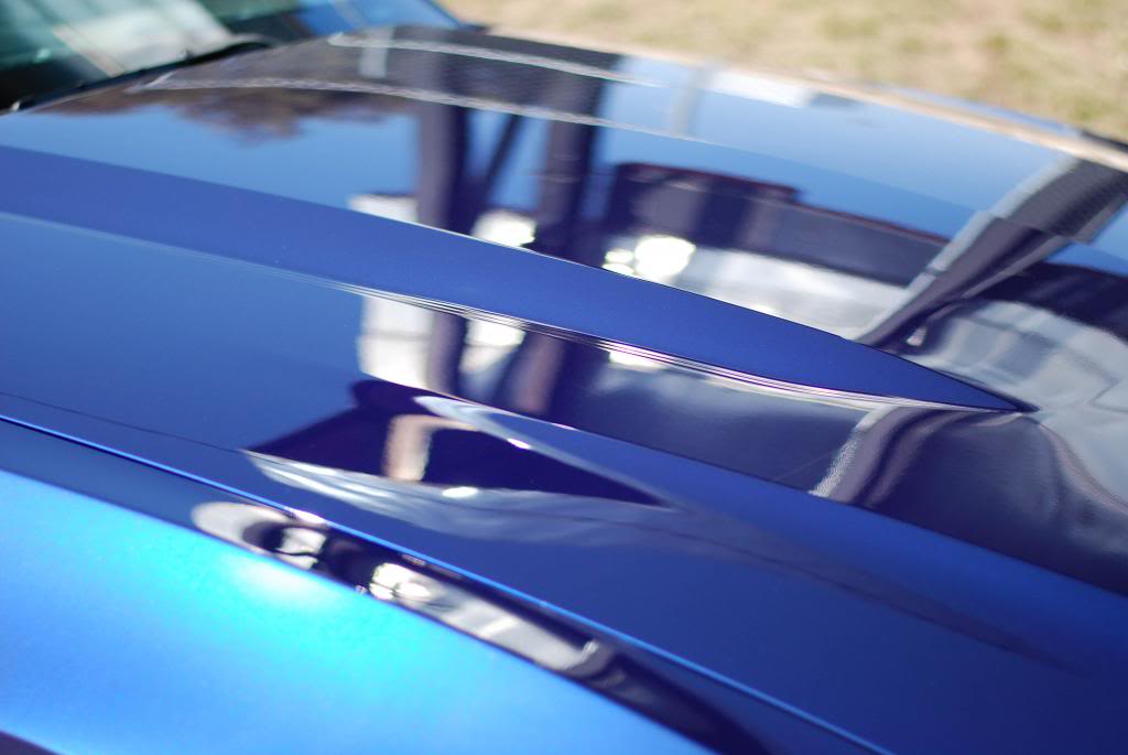 Name:  DSC_0264.jpg
Views: 80
Size:  52.2 KB