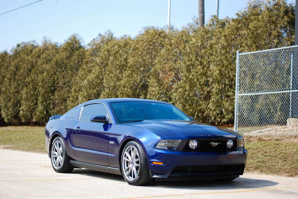 Name:  DSC_0250.jpg
Views: 79
Size:  125.7 KB