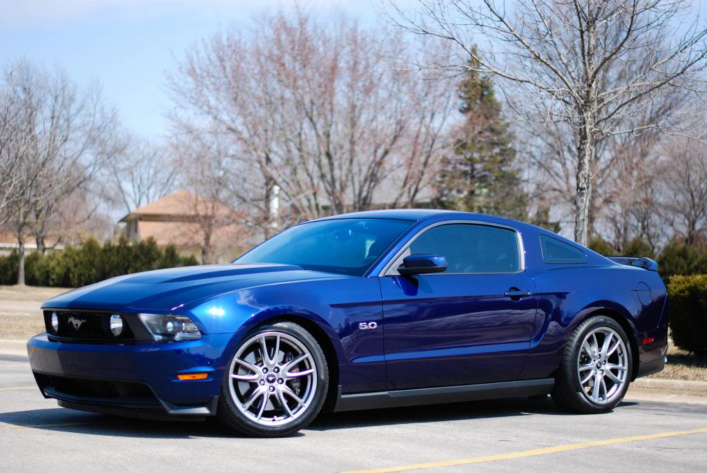 Name:  DSC_0241-1.jpg
Views: 90
Size:  108.9 KB