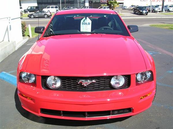 Ponies on The Run!-bill_s_hot_new_gt_007.jpg