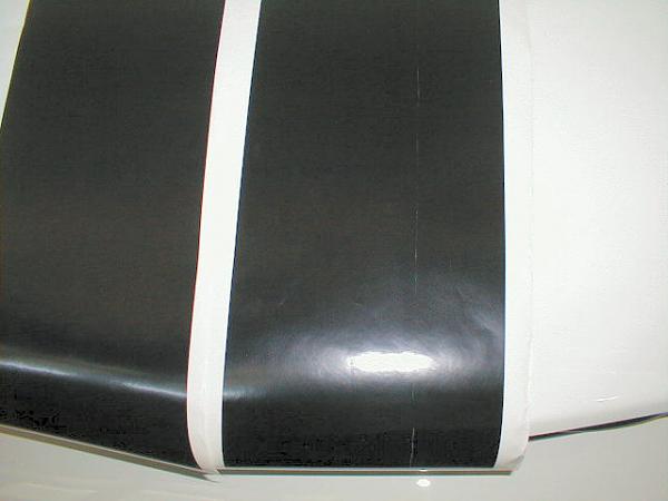 Ponies on The Run!-scratch-22.jpg