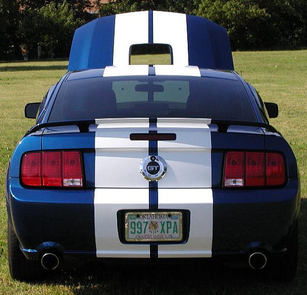 Ponies on The Run!-shaker-done-rear-1-web.jpg