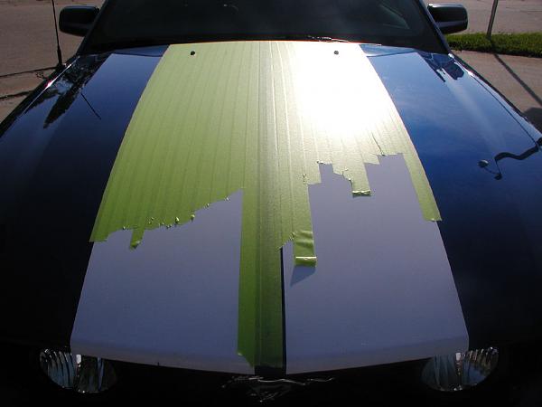 Ponies on The Run!-hood-masked-1-web.jpg