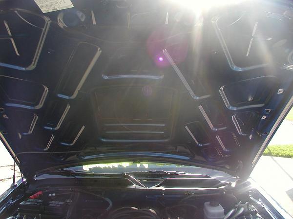 Ponies on The Run!-hood-insulation-removed-1.jpg