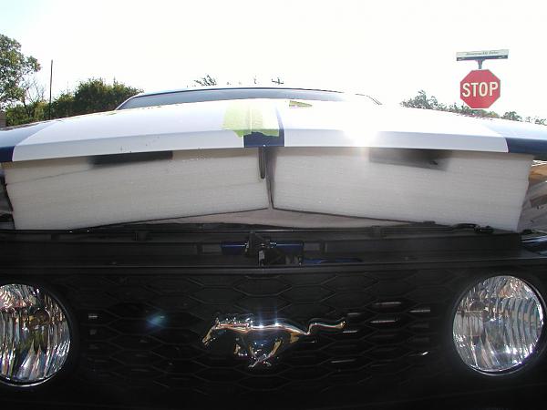 Ponies on The Run!-hood-supported-1-web.jpg