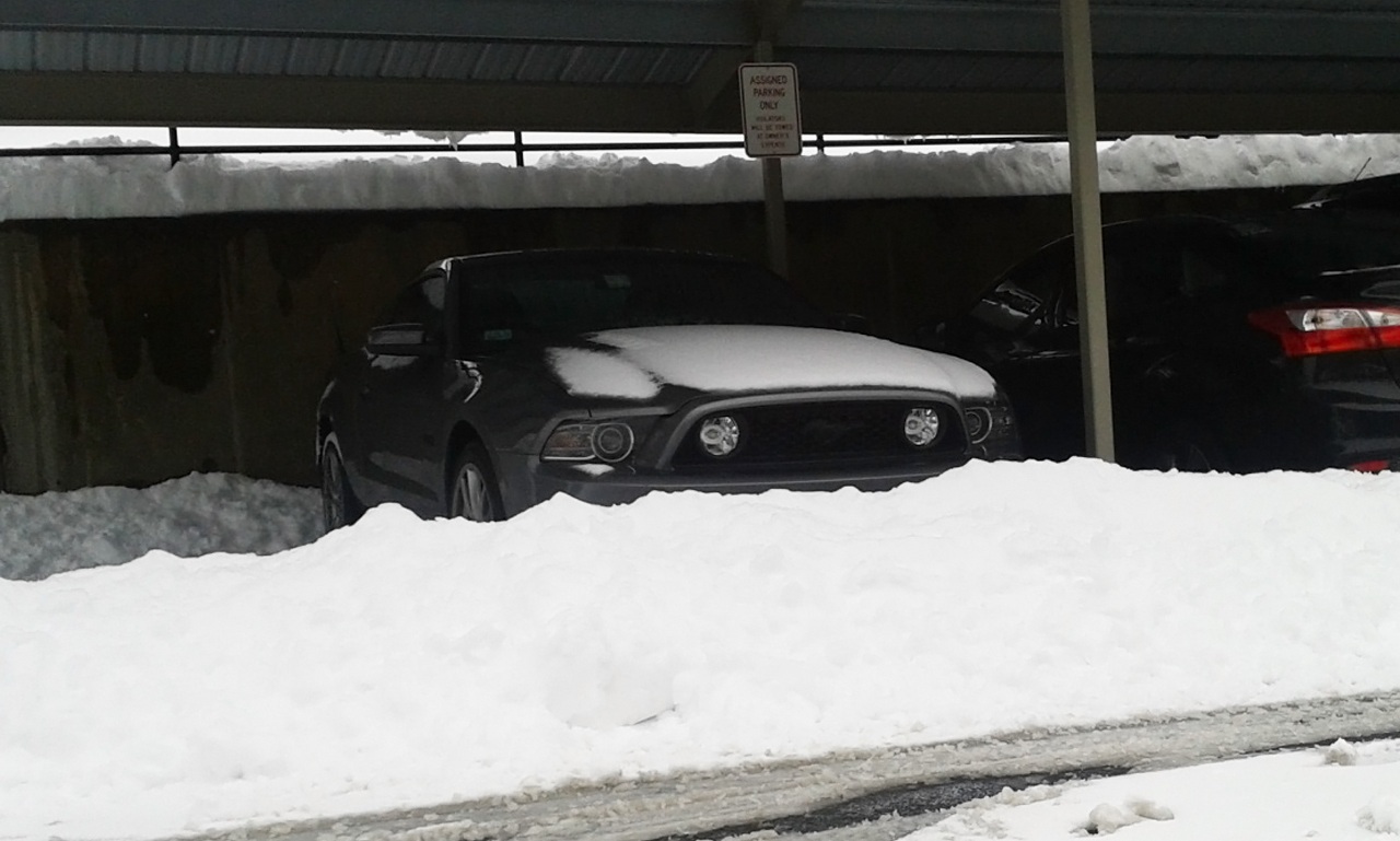 Name:  2013-03-08_snow2_zpsfbc80512.jpg
Views: 50
Size:  205.7 KB
