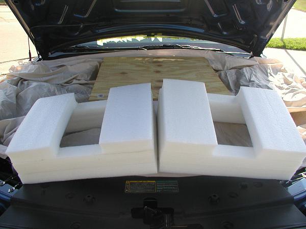 Ponies on The Run!-hood-supported-2-web.jpg