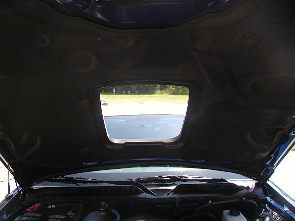 Ponies on The Run!-hood-insualtion-cut-1.jpg