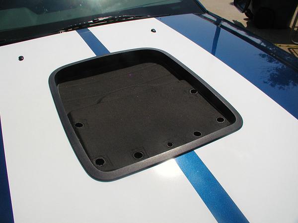 Ponies on The Run!-hood-insualtion-marked-3.jpg