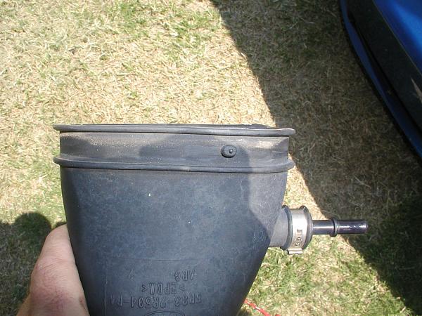 Ponies on The Run!-cut-nub-1.jpg