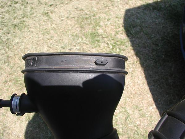 Ponies on The Run!-cut-nub-2.jpg