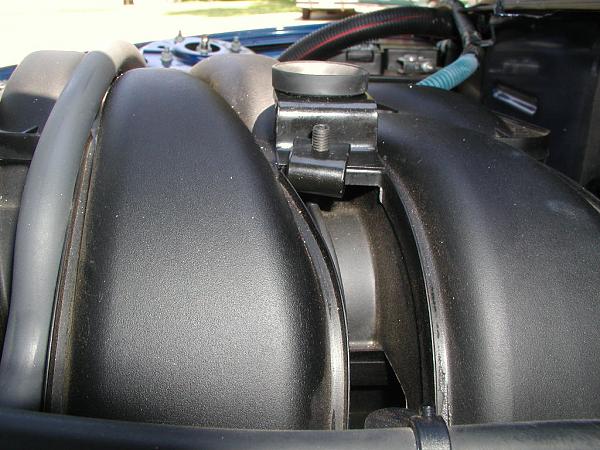 Ponies on The Run!-ball-scoket-1.jpg