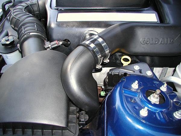 Ponies on The Run!-connection-1.jpg