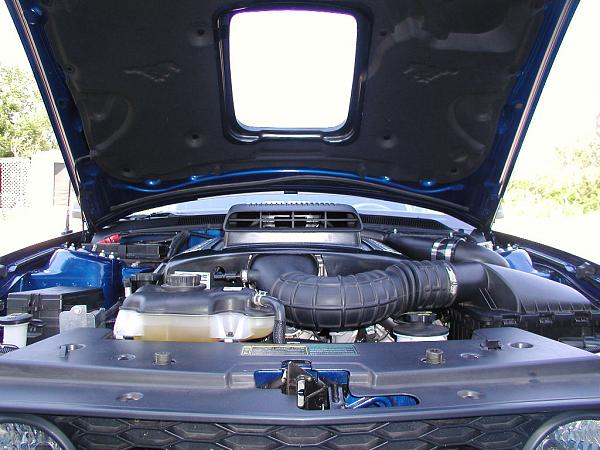 Ponies on The Run!-shaker-done-1.jpg