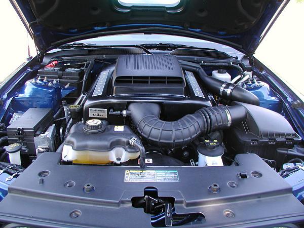 Ponies on The Run!-shaker-done-2.jpg