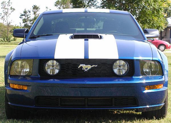 Ponies on The Run!-shaker-done-front-1-web.jpg