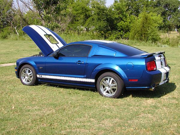 Ponies on The Run!-shaker-done-angle-1-web.jpg