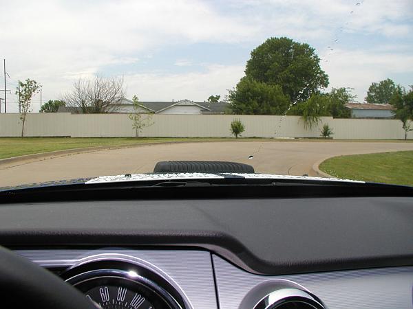 Ponies on The Run!-shaker-inside-pic-1.jpg