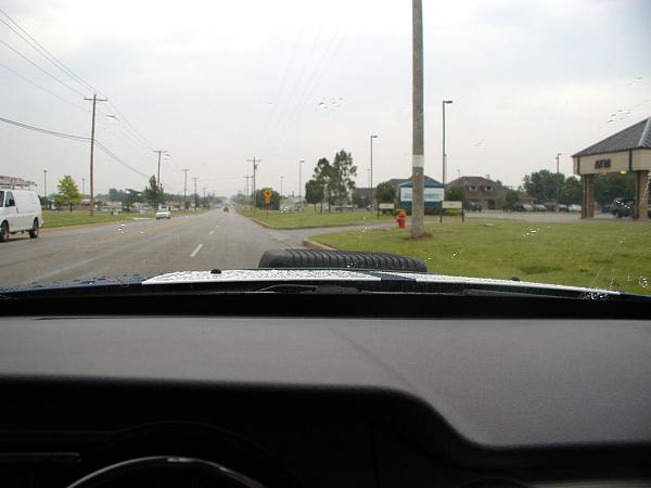 Ponies on The Run!-shaker-inside-pic-2.jpg