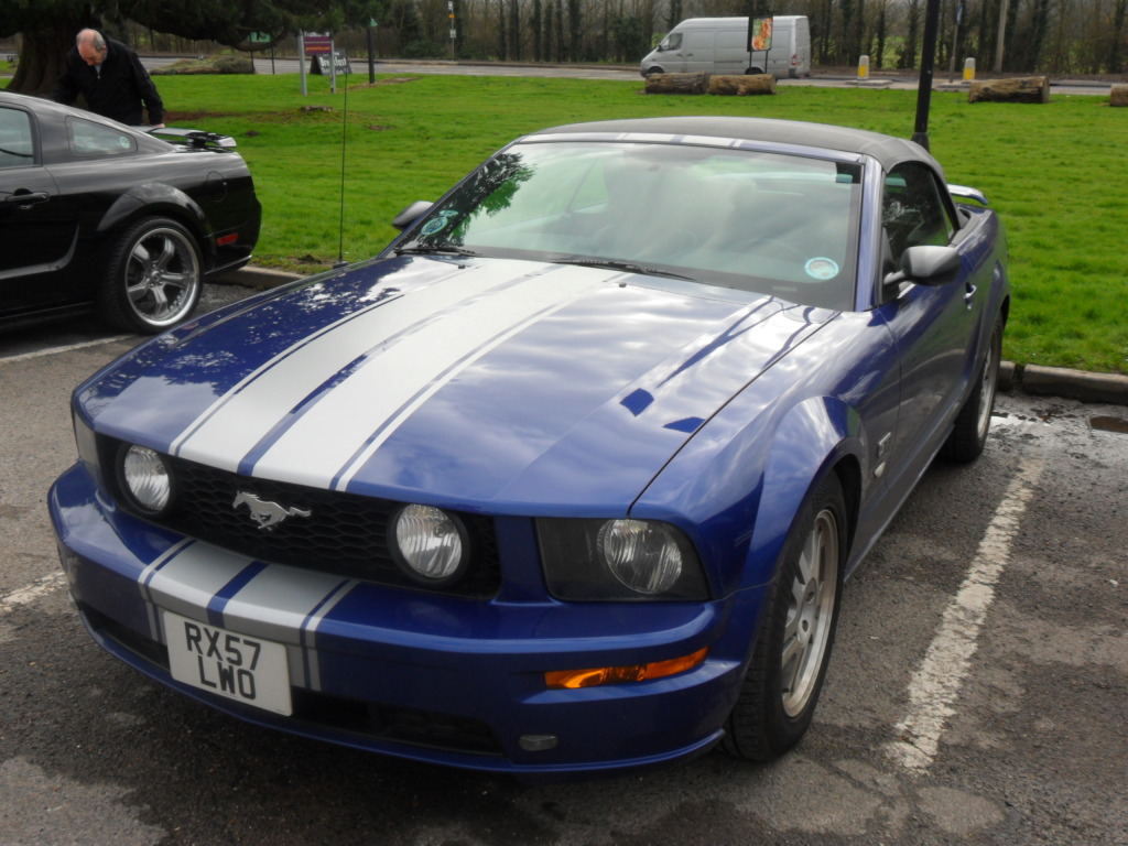 Name:  SAM_0741_zpsff88df24.jpg
Views: 74
Size:  215.3 KB