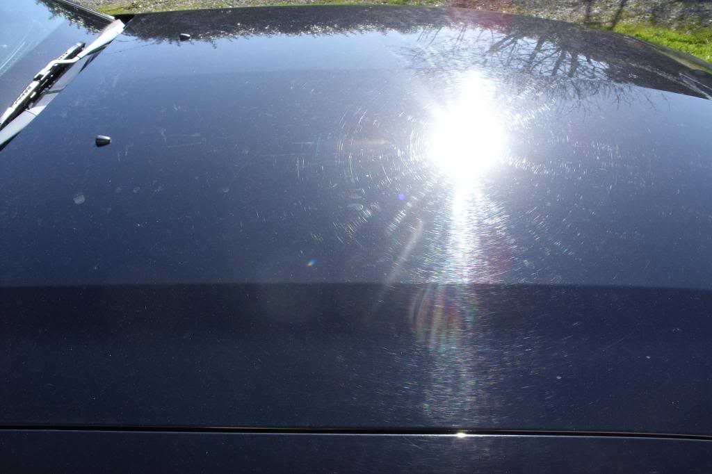 Name:  Mustangdetailprocess024_zps644f06b5.jpg
Views: 53
Size:  65.4 KB