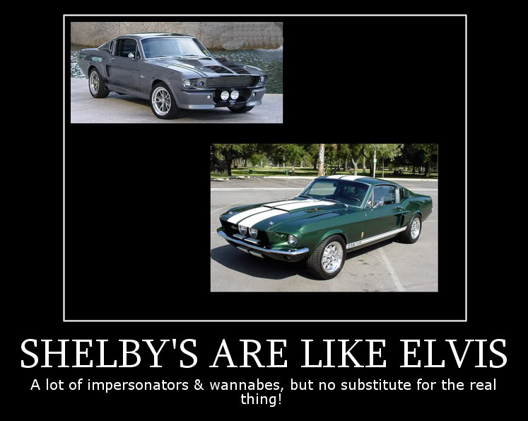 Name:  ShelbysElvis.jpg
Views: 36
Size:  65.8 KB