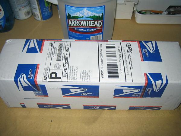 Ponies on The Run!-img_0897m.jpg