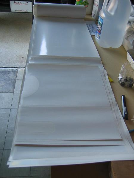 Ponies on The Run!-img_0898m.jpg