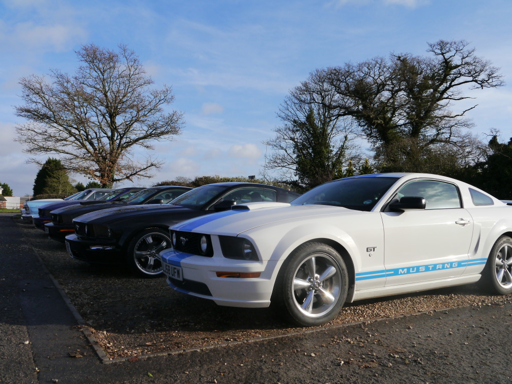 Name:  P1010937.jpg
Views: 59
Size:  289.5 KB