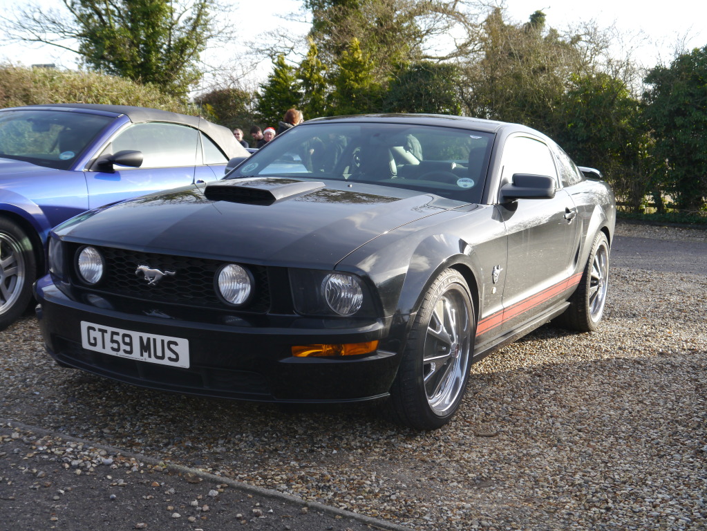 Name:  P1010939.jpg
Views: 60
Size:  338.6 KB