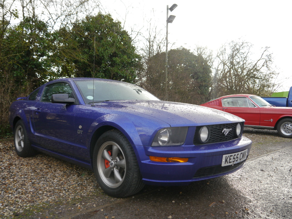 Name:  P1010952.jpg
Views: 63
Size:  318.6 KB