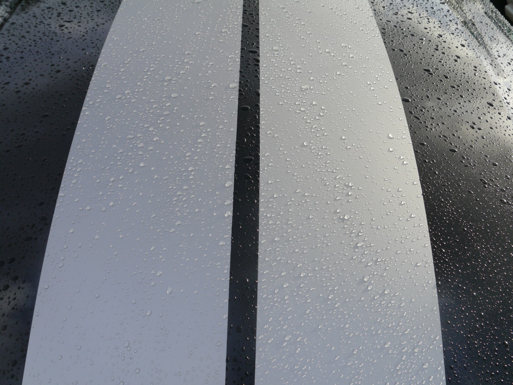 Name:  P1010954.jpg
Views: 57
Size:  264.8 KB