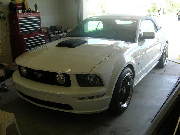 Ponies on The Run!-dscn3473.jpg