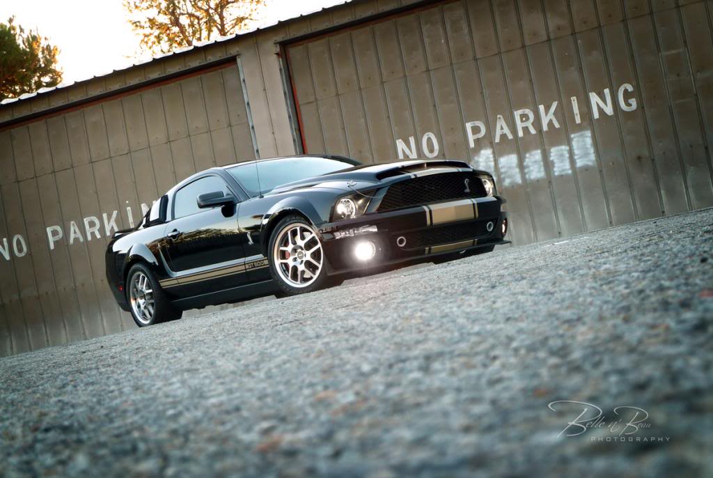 Name:  Dognut0209Are.jpg
Views: 105
Size:  90.8 KB