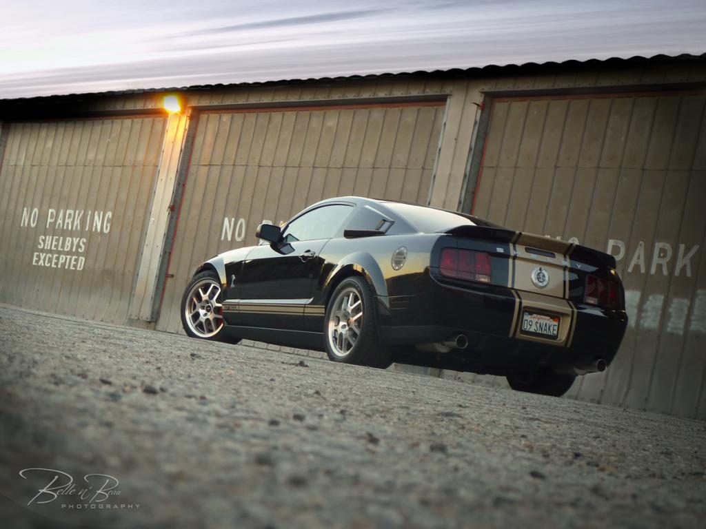 Name:  Dognut0251Bre.jpg
Views: 113
Size:  82.9 KB