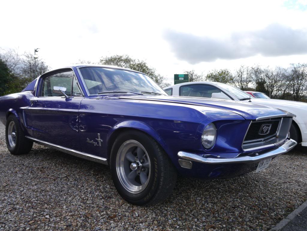 Name:  P1010730.jpg
Views: 45
Size:  116.4 KB