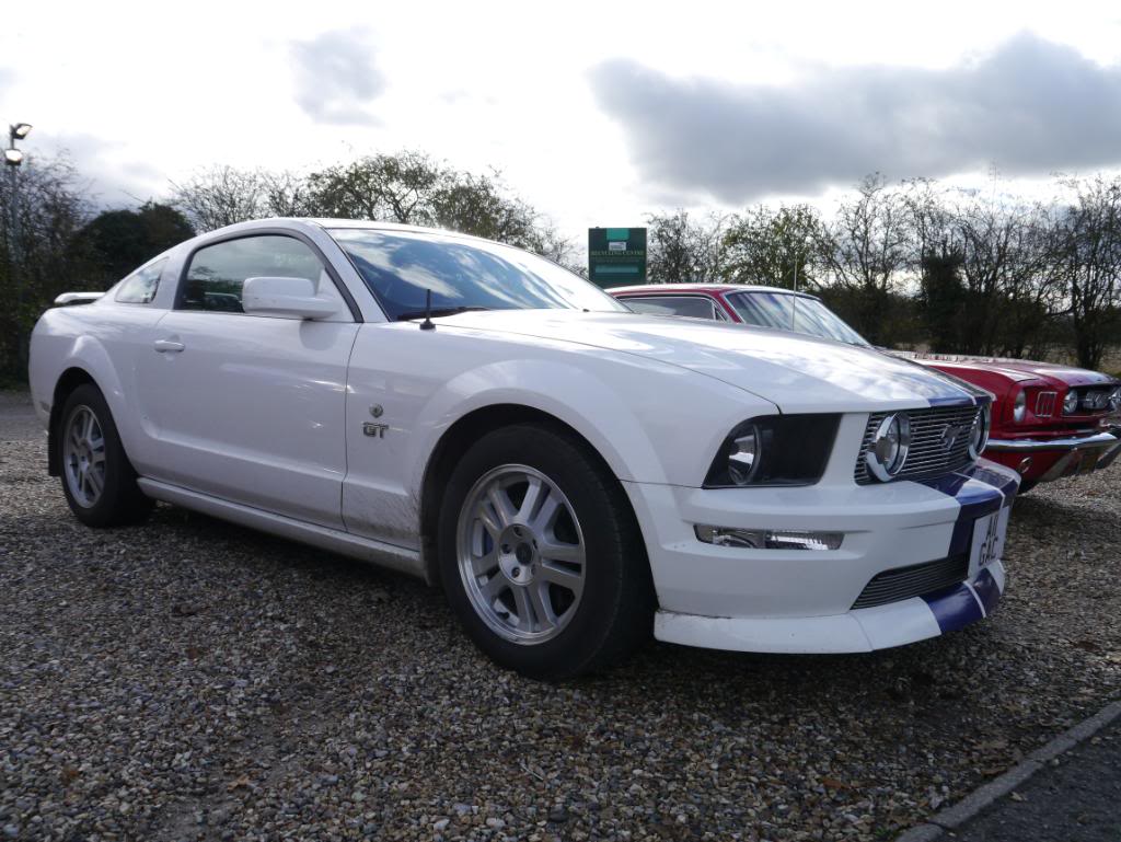 Name:  P1010731.jpg
Views: 42
Size:  117.3 KB