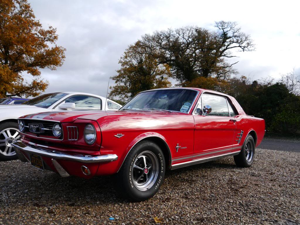 Name:  P1010732.jpg
Views: 44
Size:  155.7 KB