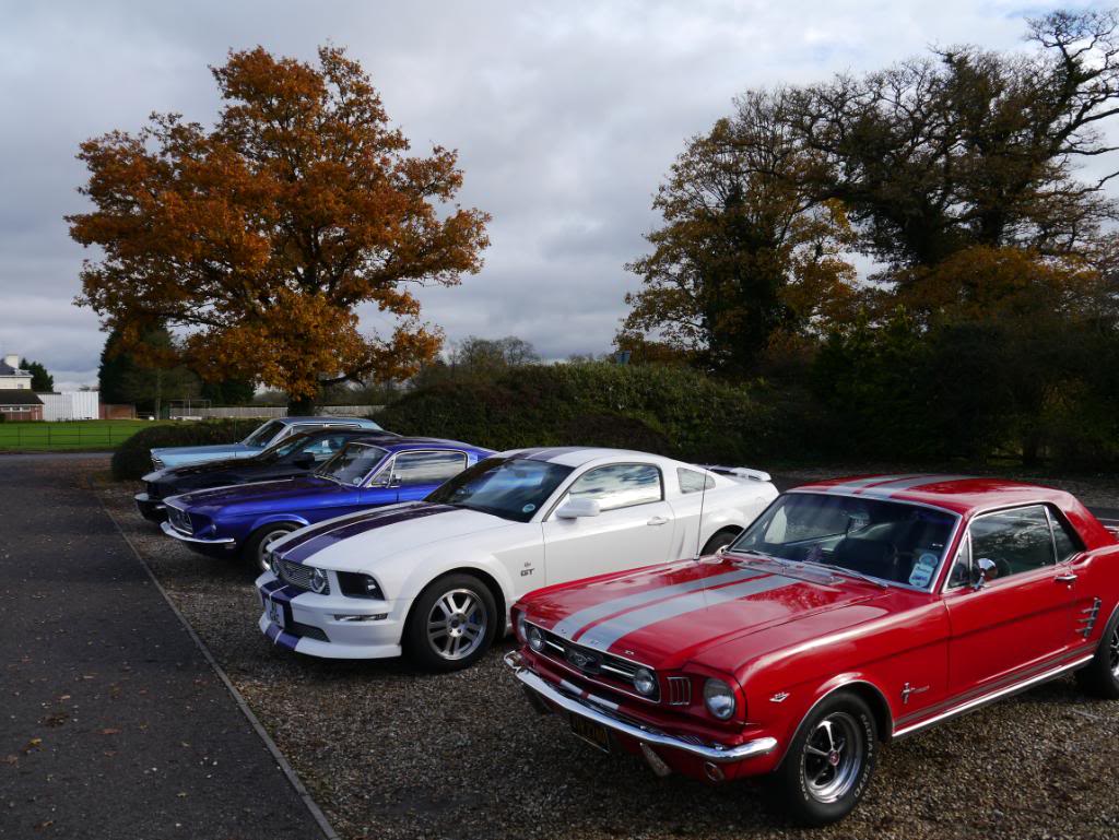 Name:  P1010733.jpg
Views: 43
Size:  140.3 KB