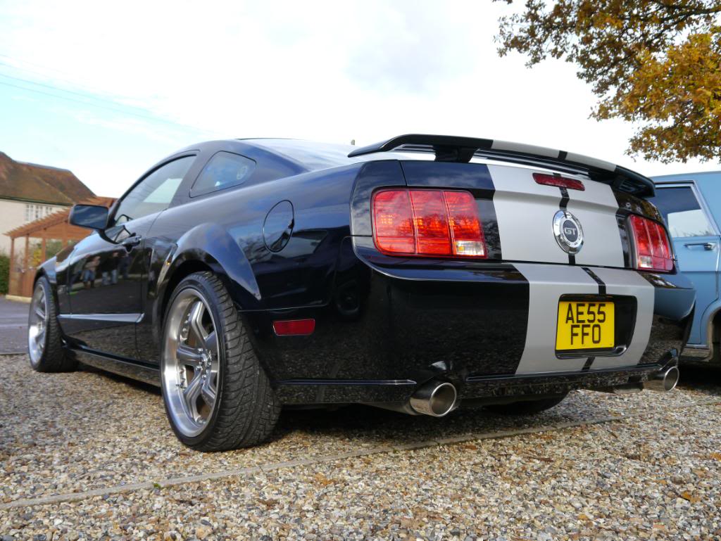 Name:  P1010738.jpg
Views: 33
Size:  132.1 KB