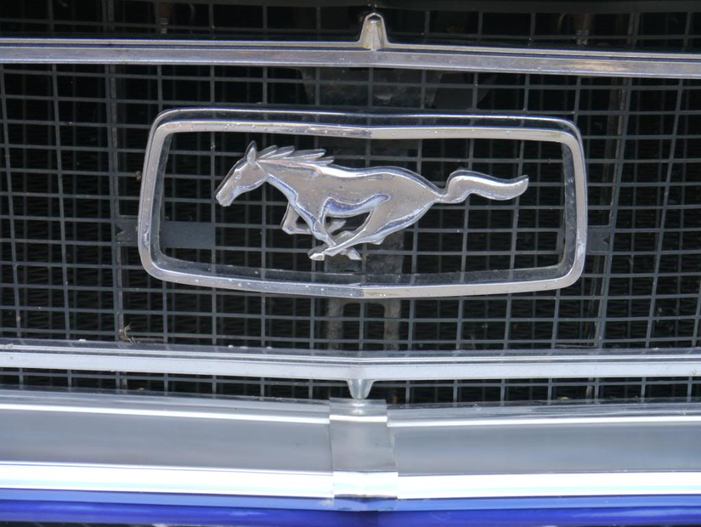 Name:  P1010747.jpg
Views: 46
Size:  92.2 KB