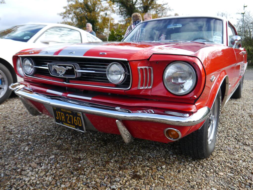 Name:  P1010749.jpg
Views: 84
Size:  156.8 KB