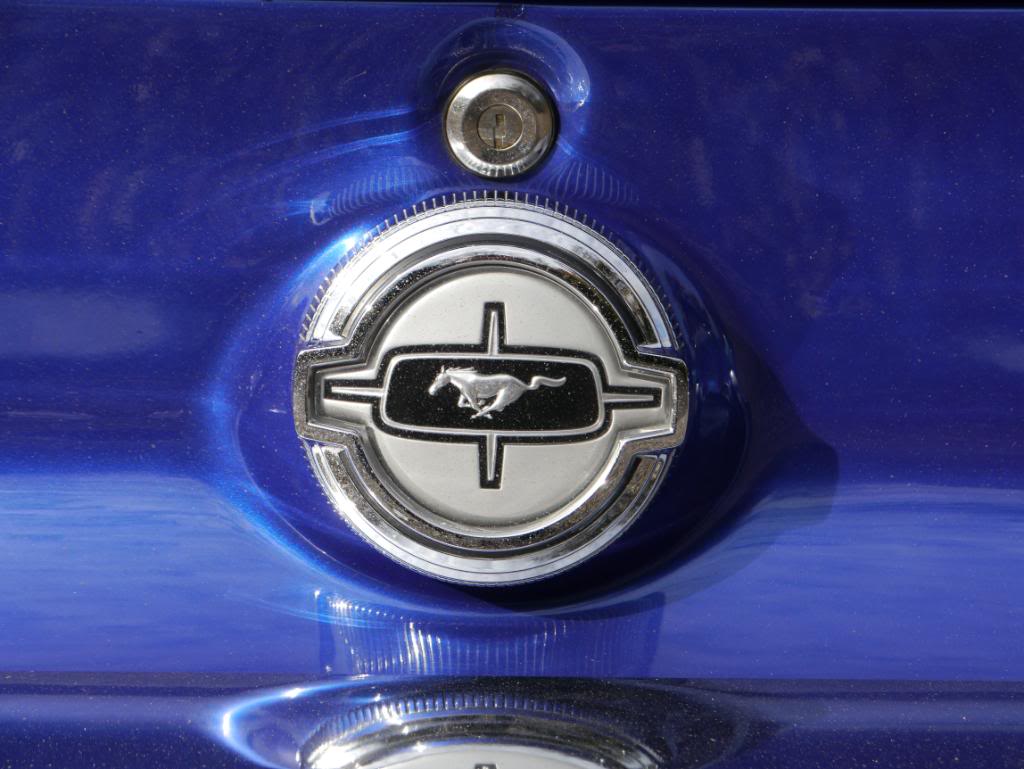 Name:  P1010750.jpg
Views: 43
Size:  85.7 KB