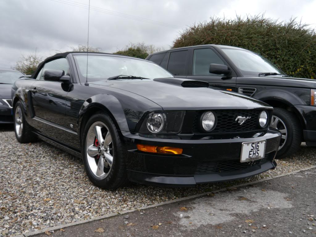 Name:  P1010753.jpg
Views: 49
Size:  114.4 KB