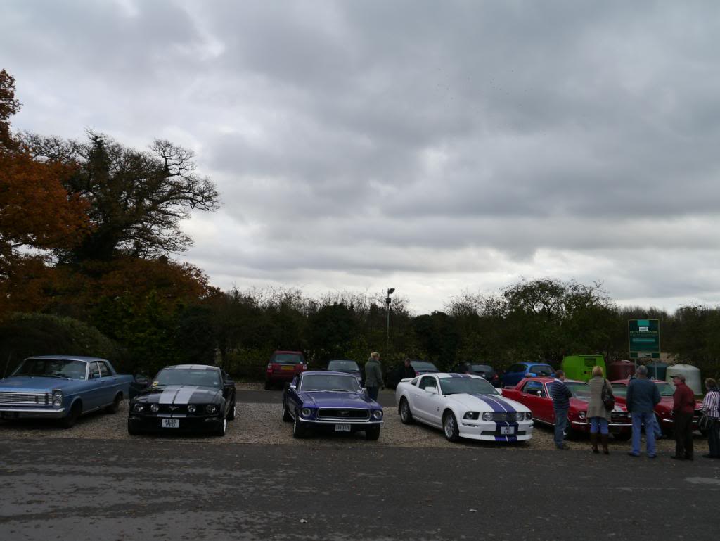 Name:  P1010757.jpg
Views: 59
Size:  76.6 KB