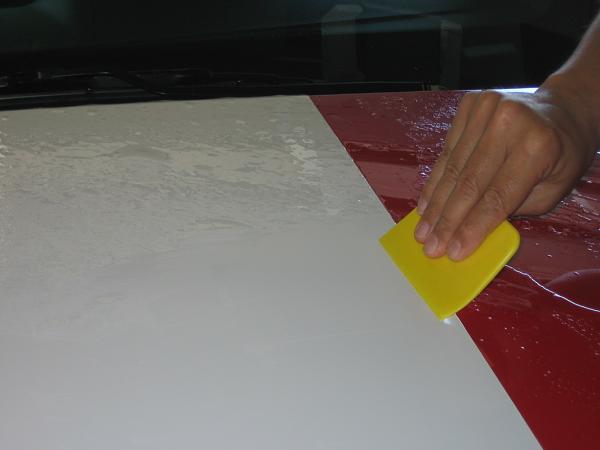 Ponies on The Run!-img_0909.jpg