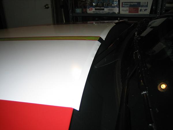 Ponies on The Run!-img_0913.jpg