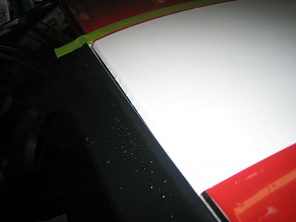 Ponies on The Run!-img_0916.jpg